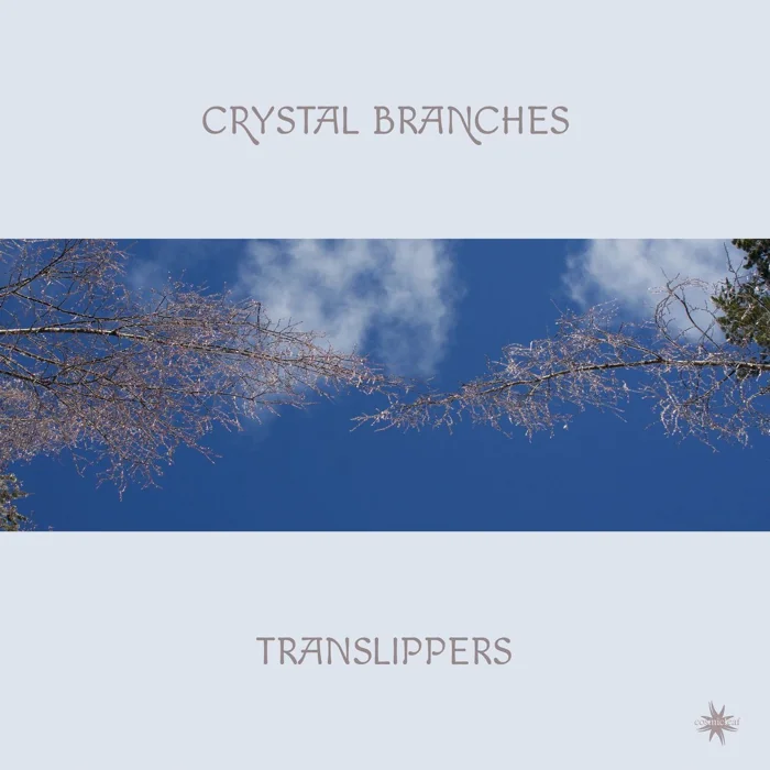Crystal Forest