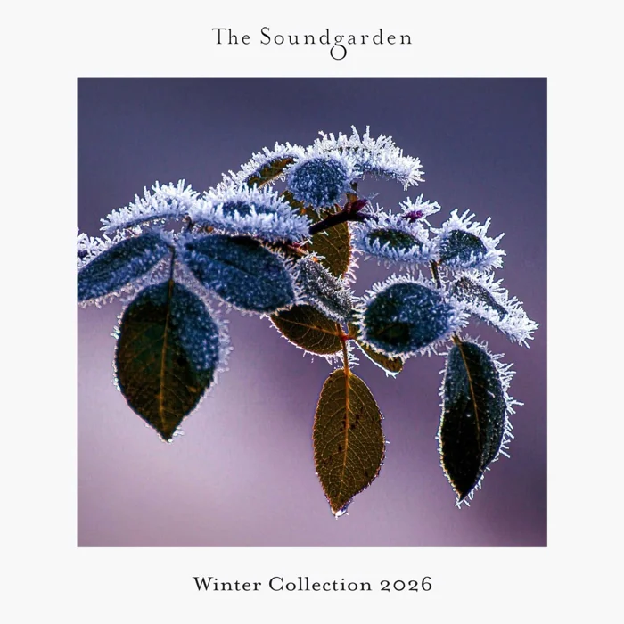 Winter Collection